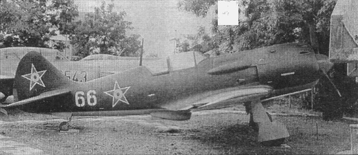 FaLav094.jpg
