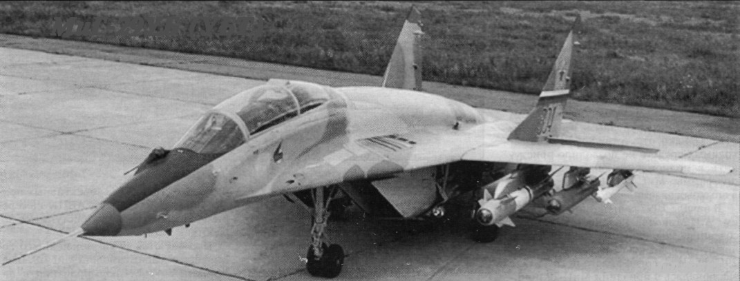 FaRu3031.jpg