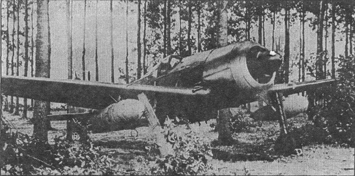 Fw190050.jpg