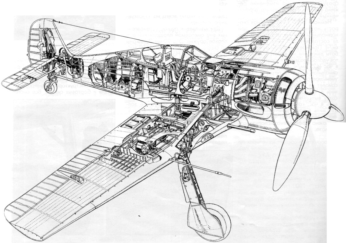 Fw190011.jpg