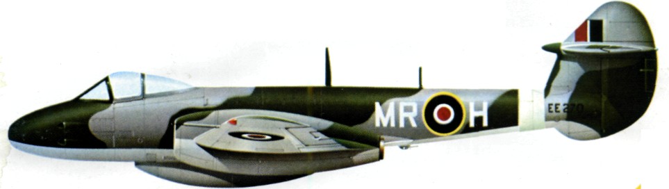 GloMe035.jpg