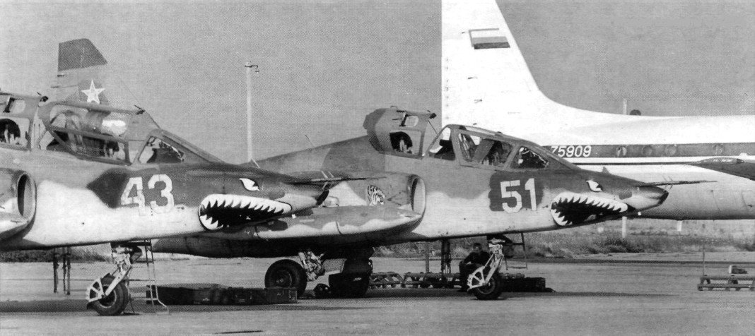 Kav99014.jpg