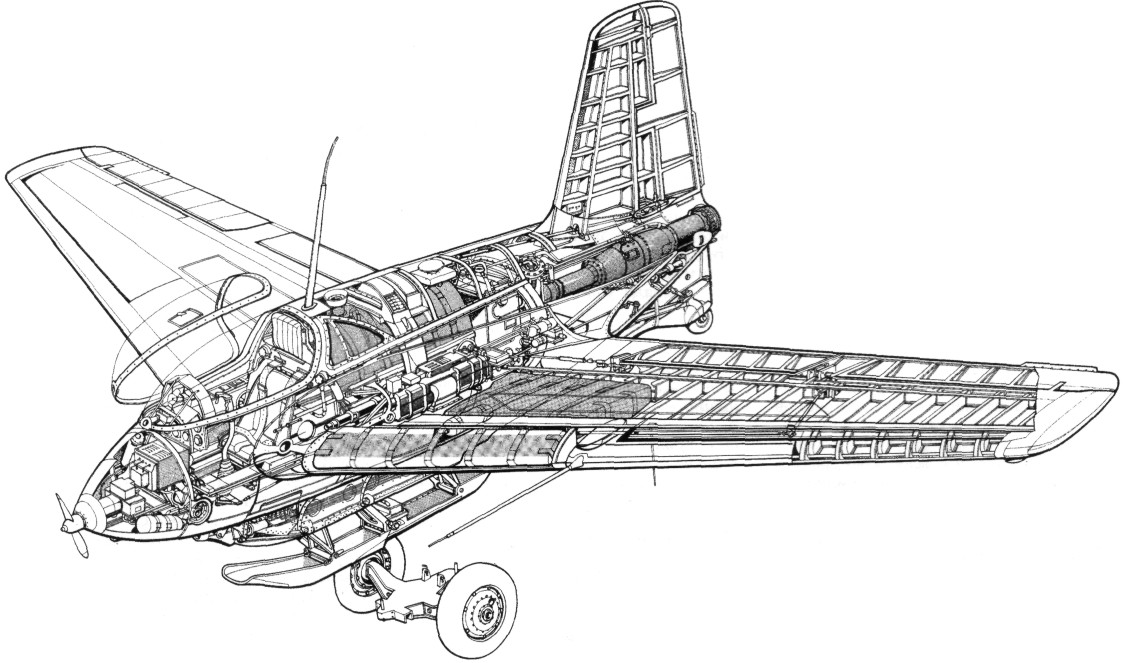 Me163009.jpg