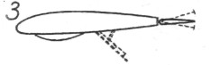Me163016.jpg