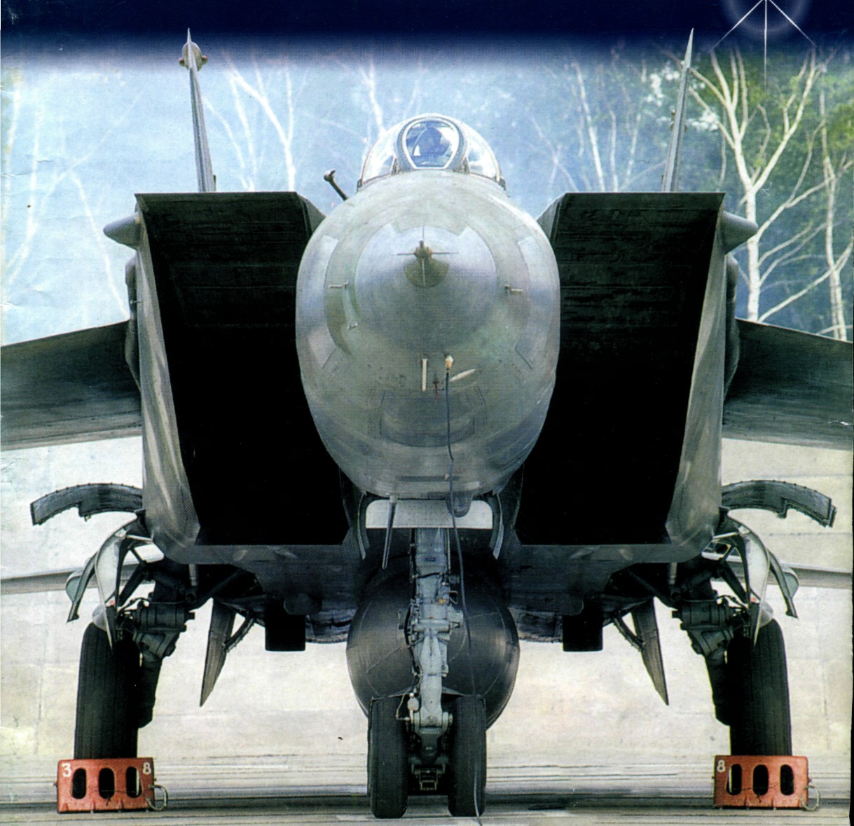 MiG25024.jpg