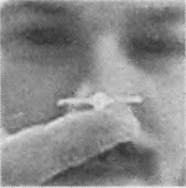 MicroBLA008.jpg