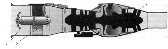 NeDvg002.jpg