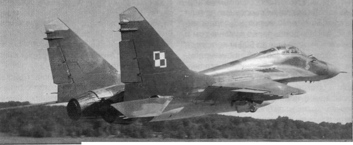 New03013.jpg