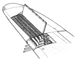 P47036.jpg