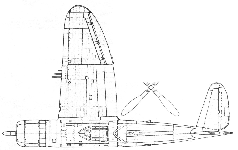 P47043.jpg