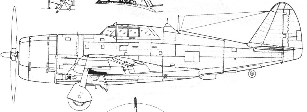 P47044.jpg
