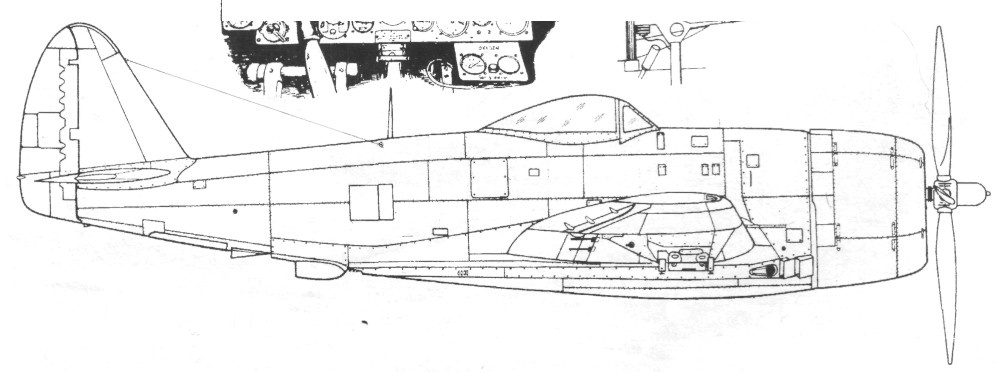 P47047.jpg