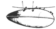 P47057.jpg