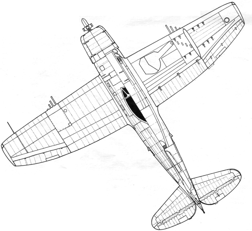 P47077.jpg