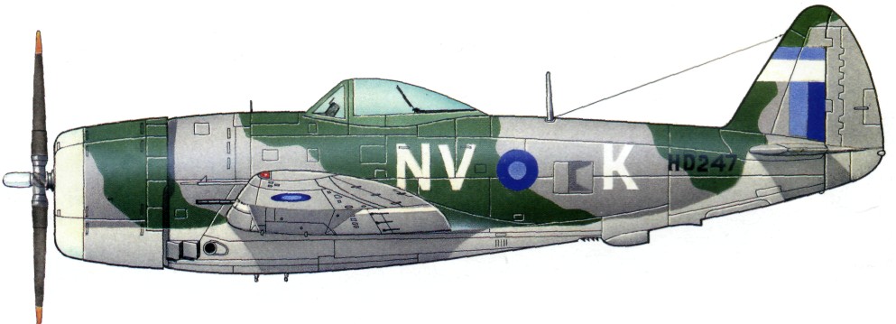 P47120.jpg
