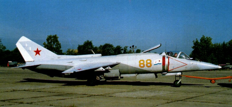PaY38011.jpg
