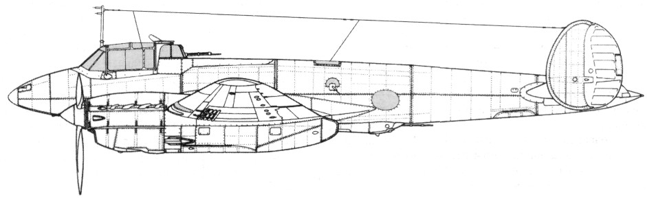 Pe-2059.jpg