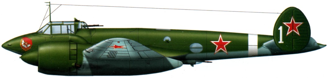Pe-2137.jpg