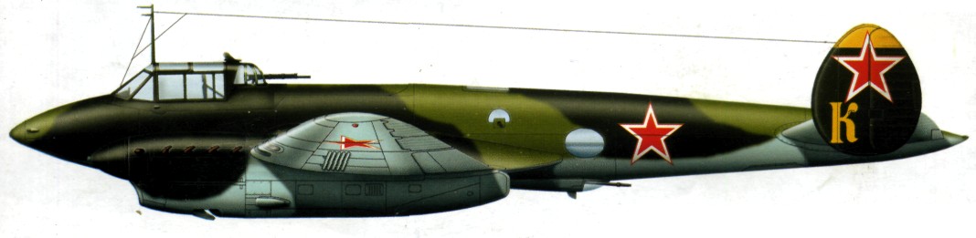 Pe-2139.jpg