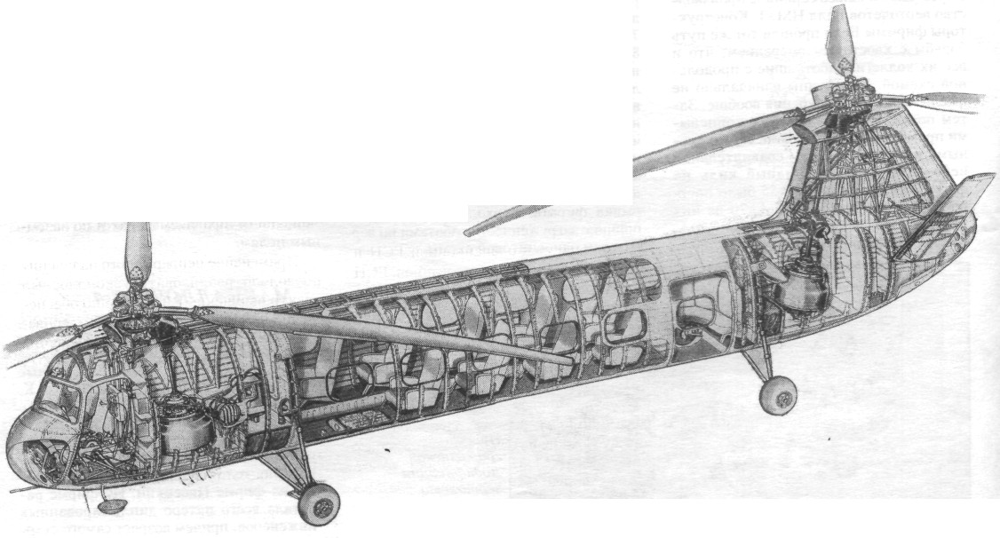 PrHel018.jpg