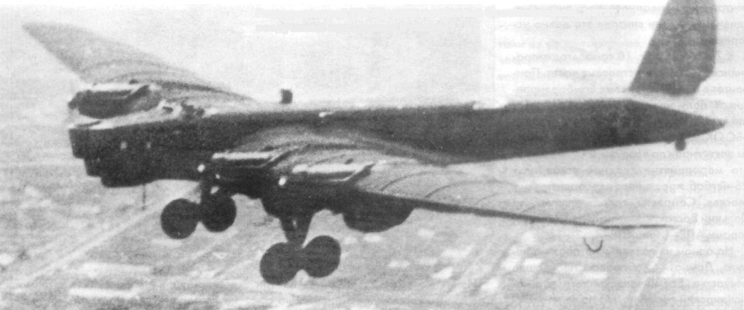 TB-3100.jpg