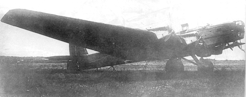TB-3101.jpg