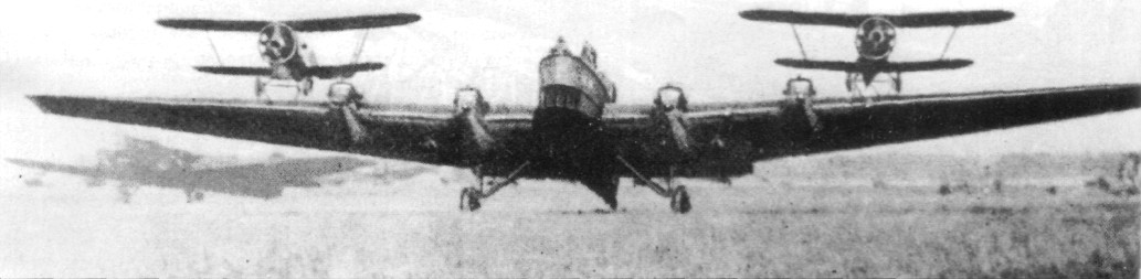 TB-3113.jpg