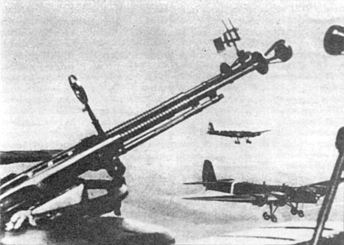 TB-3135.jpg
