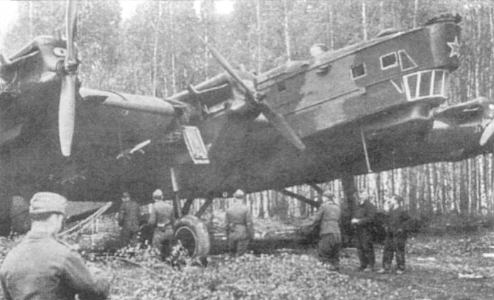 TB-3149.jpg