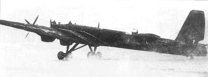 TB-3151.jpg