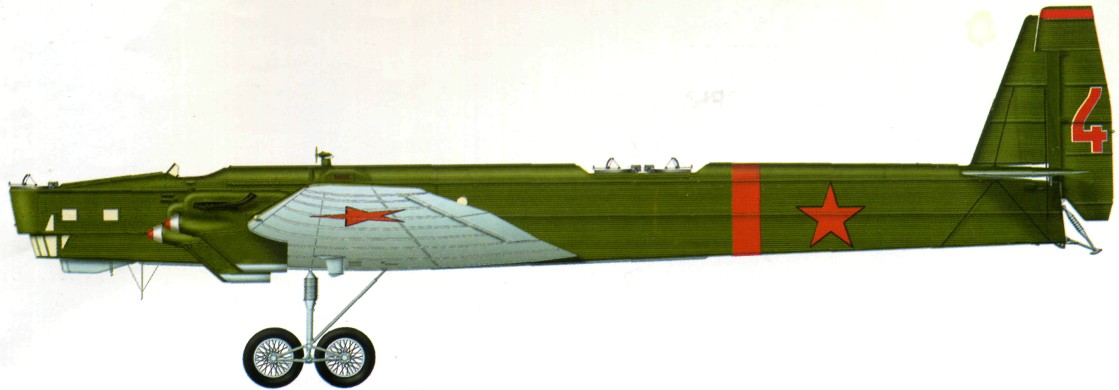 TB-3168.jpg