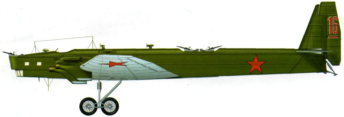 TB-3169.jpg