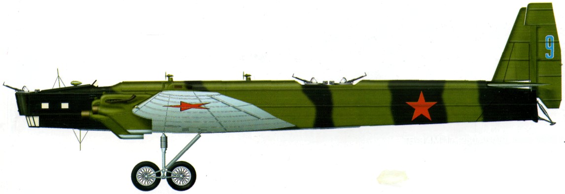 TB-3170.jpg