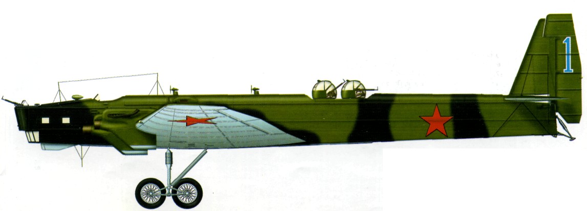 TB-3171.jpg