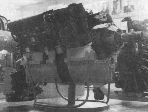 TB-7Pe-8010.jpg