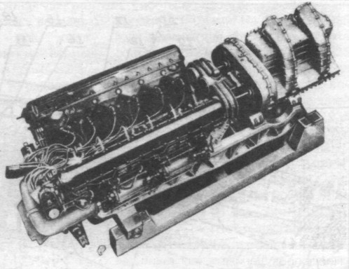 TB-7Pe-8011.jpg