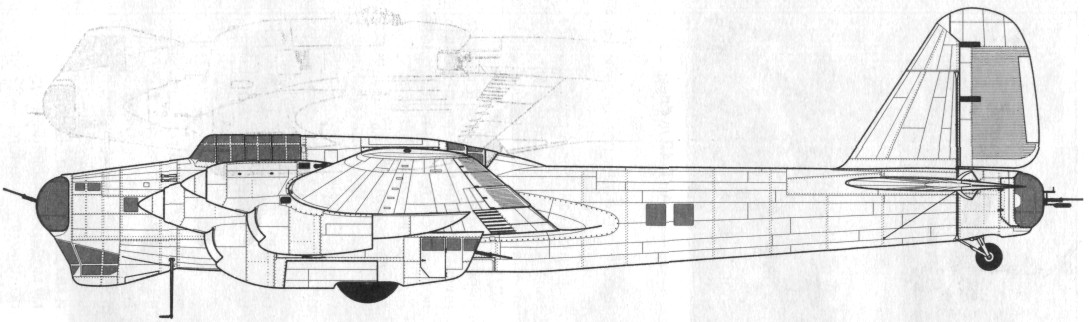TB-7Pe-8040.jpg