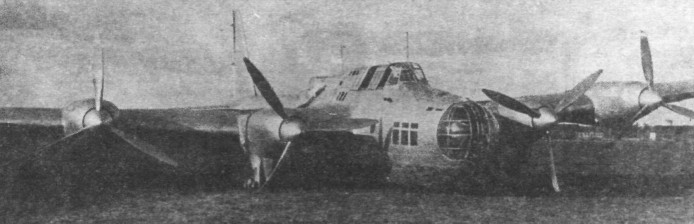 TB-7Pe-8047.jpg