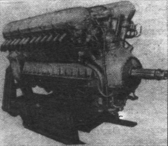 TB-7Pe-8050.jpg