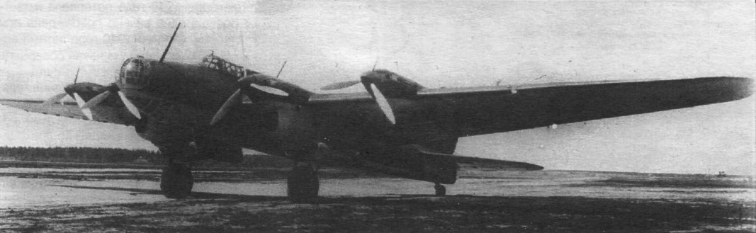 TB-7Pe-8056.jpg
