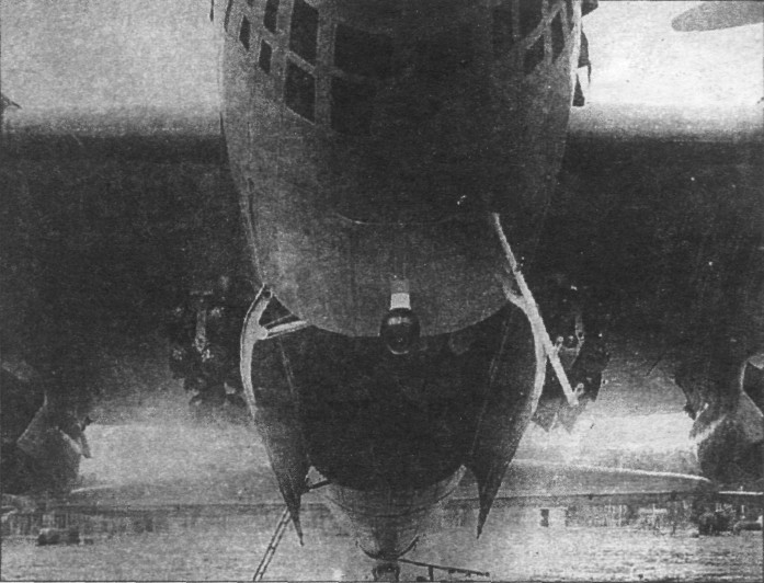 TB-7Pe-8059.jpg
