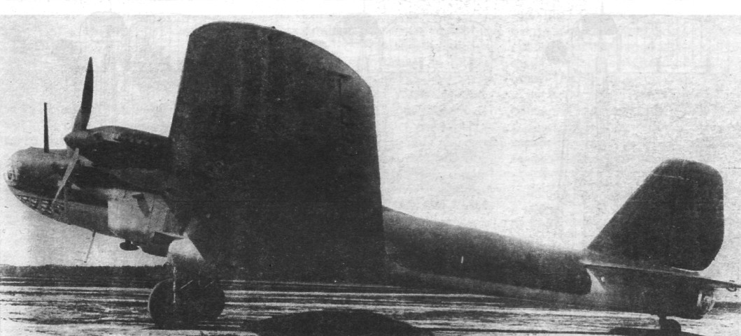 TB-7Pe-8060.jpg