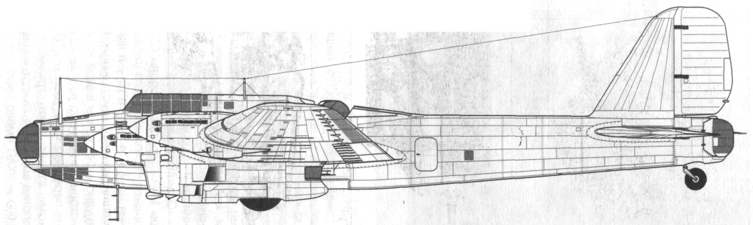 TB-7Pe-8061.jpg
