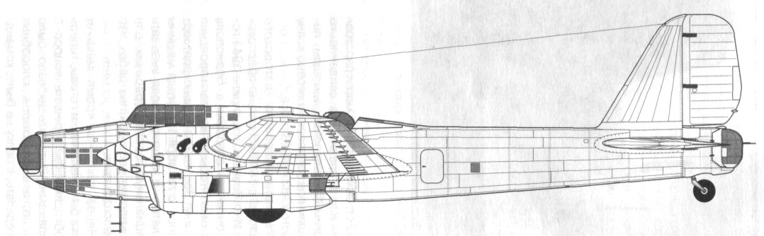TB-7Pe-8063.jpg