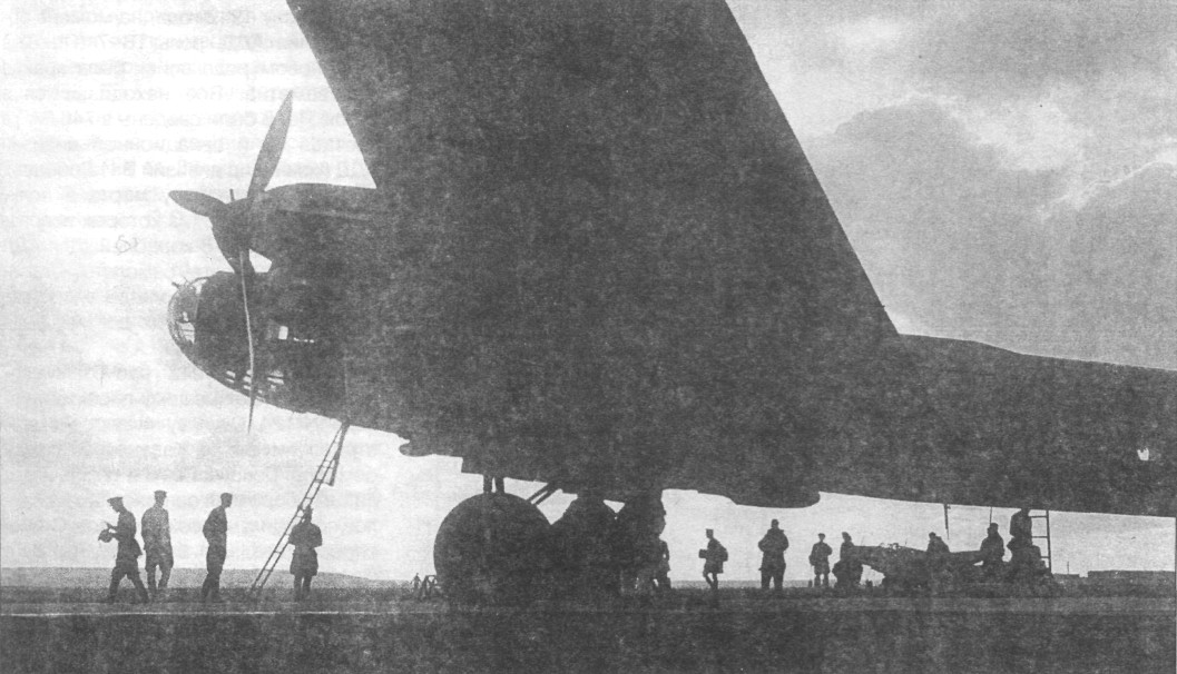 TB-7Pe-8073.jpg