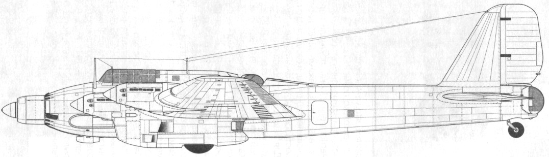 TB-7Pe-8078.jpg