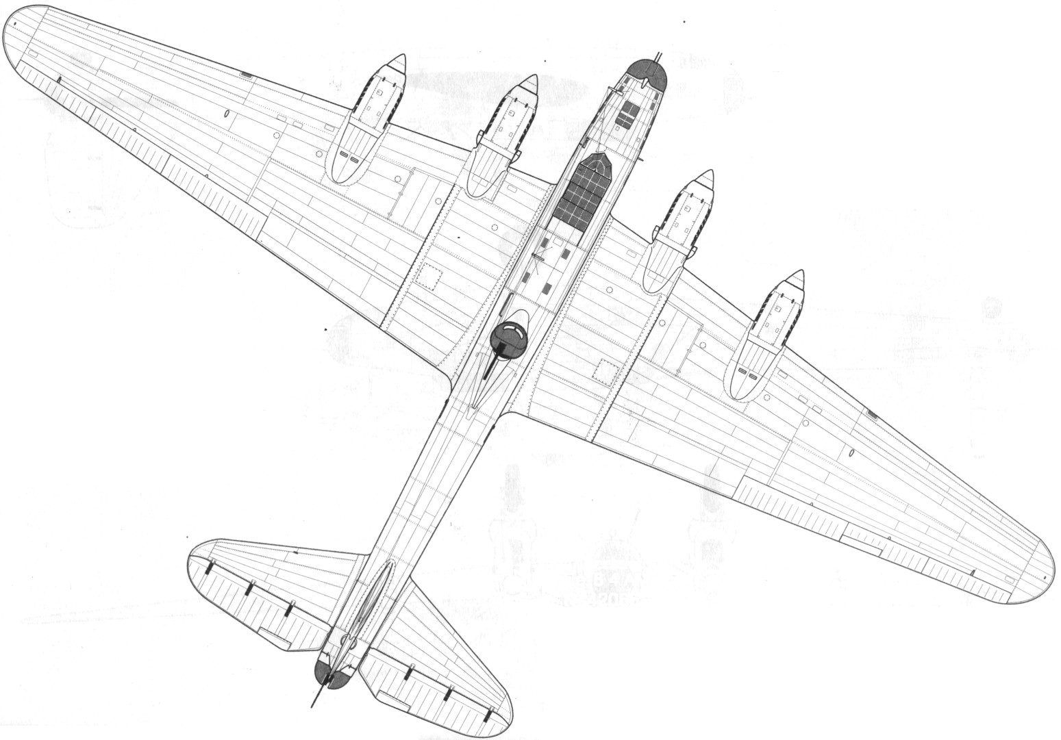 TB-7Pe-8084.jpg