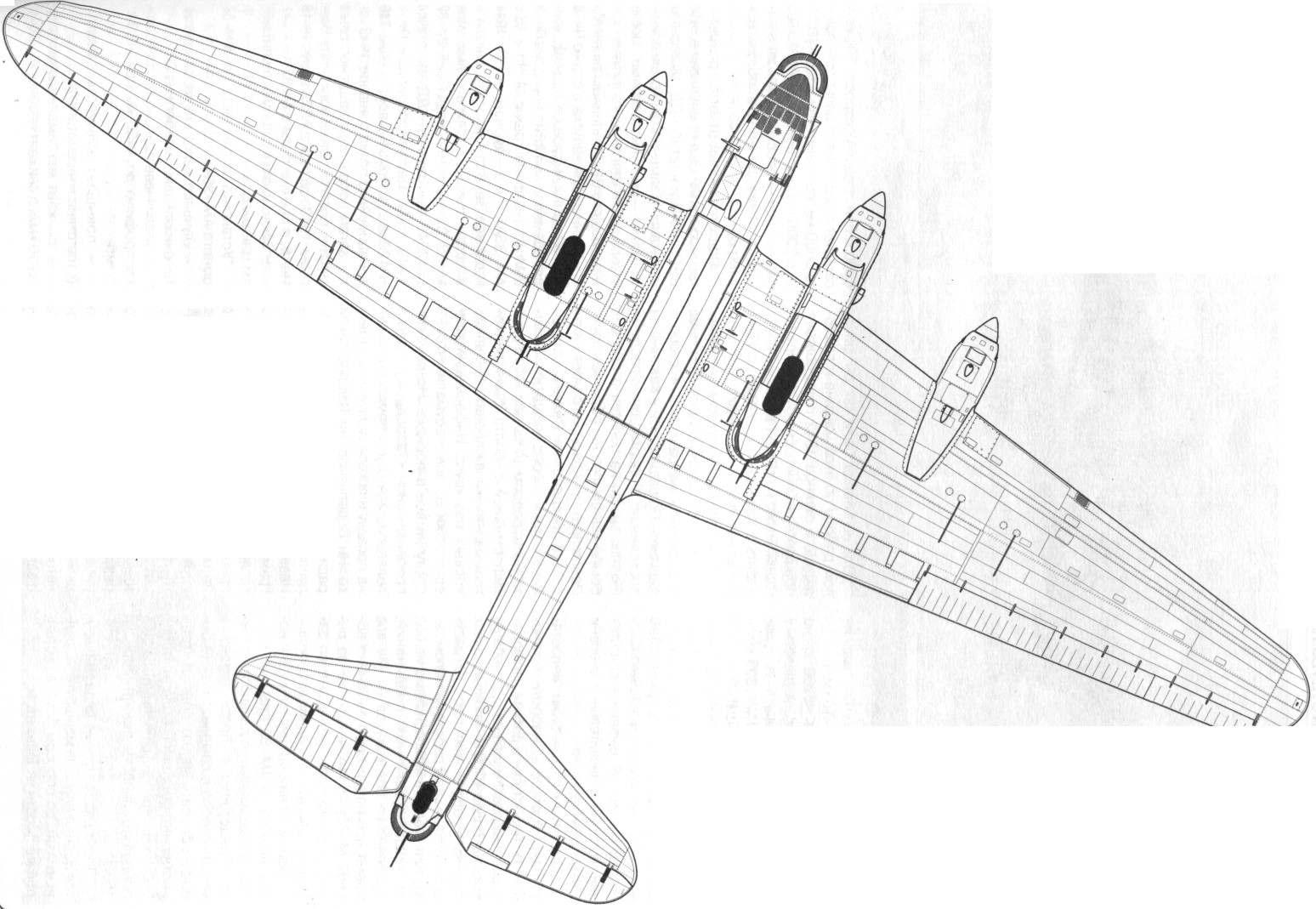TB-7Pe-8087.jpg