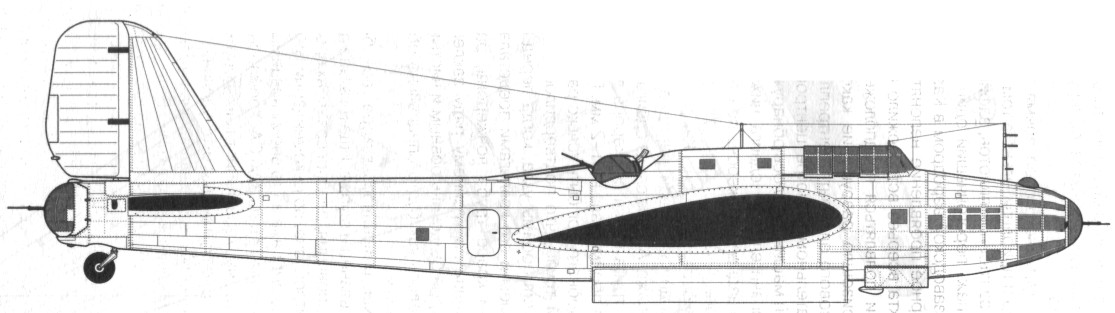 TB-7Pe-8102.jpg