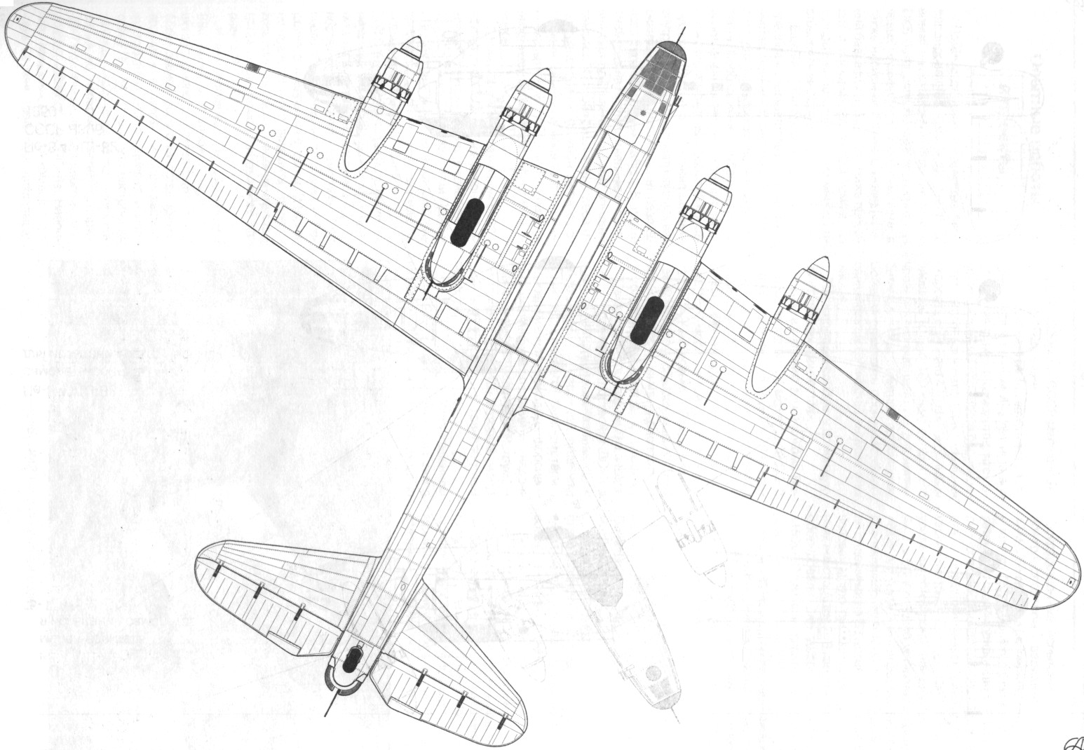 TB-7Pe-8104.jpg